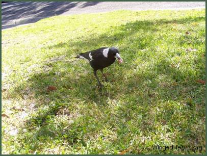 Is this my Maggie Mum?