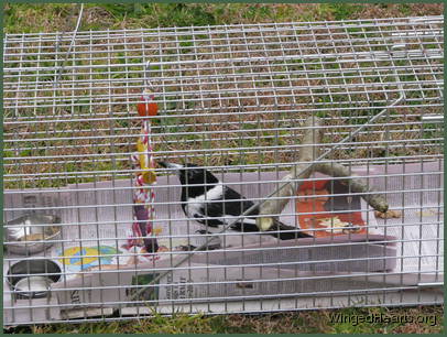 Butchie liked showing off her bug meals to her family so they knew she was getting a treat