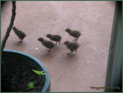 as they continue their exploration as they continue their exploration