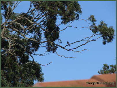 Freddy-n-Terry reply