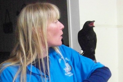 Belinda-and -crow