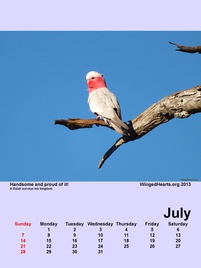 Winged Hearts Calendar 2013