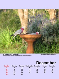 Winged Hearts Calendar 2013
