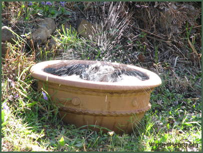 Creating such a commotion