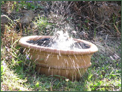 What's creating this ruckus?