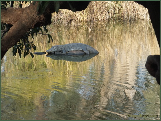 crocodiles at ranthambore